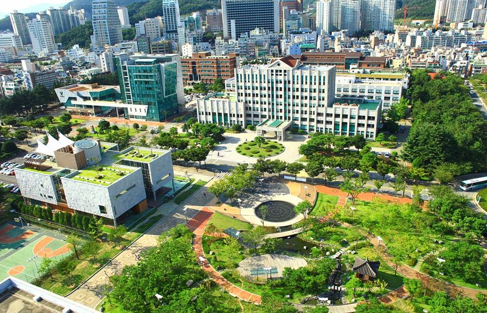 các chuyên ngành trường đại học quốc gia jeju